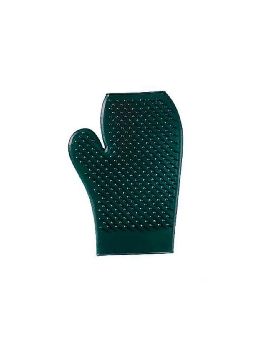 ELDİVEN KAŞAĞI ÇİFT