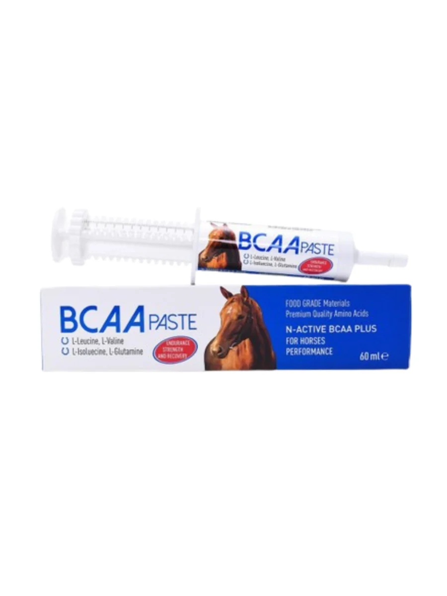 N ACTİVE BCAA PASTE 60 ML
