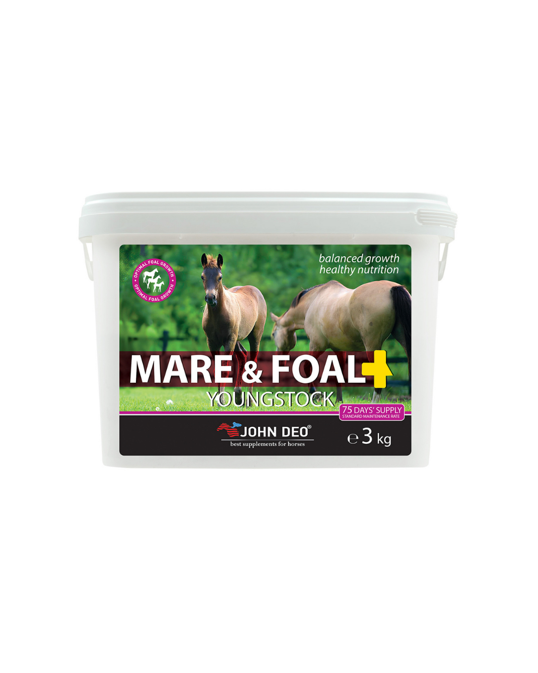 JOHN DEO MARE FOAL 3 KG